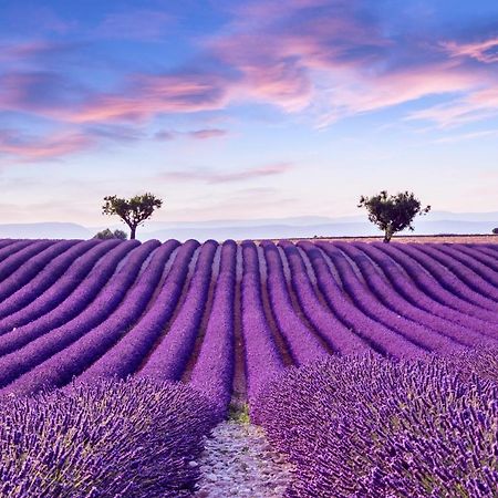 La Maison Des Collines Allemagne-en-Provence Exterior foto